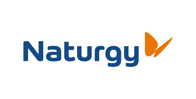 plataforma virtual de naturgy